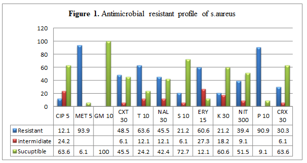 Figure 1: Antimicrobial Resistant Profile of Staphylococcus aureus.