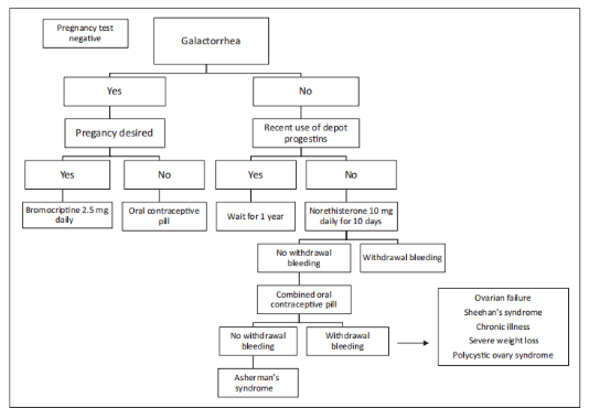 Figure 3: Diagnostic work-up of secondary amenorrhea.