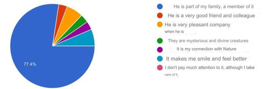 Figure 6: Graph depicting the different considerations of owners towards their felines. Most of the answers were positive and the most common was the answer that felines are members of their families (blue colour 77%).