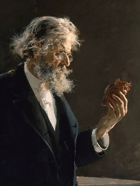 Figure 5: A portrait of a pathologist examining the heart following an autopsy. Painted by Lombardo.