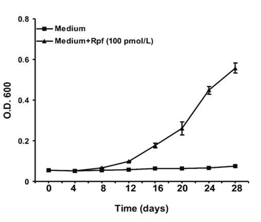 Figure 5: The response of aged _M. bovis_ (BCG) (6 month- old culture) to recombinant _Micrococcus luteus_ Rpf was observed by increase in O.D.600 of culture with time. The NC cells were removed by centrifugation at 6000g for 10 minutes and 100 cells/ml were aliquoted into two 100 ml fresh Sauton’s medium supplemented with ADC. In one of the flask filter sterilized recombinant _Micrococcus luteus_ Rpf protein (100 pmol/L) was added and in other flask, no protein was added. Both the flask were incubated at 37 0C without shaking.