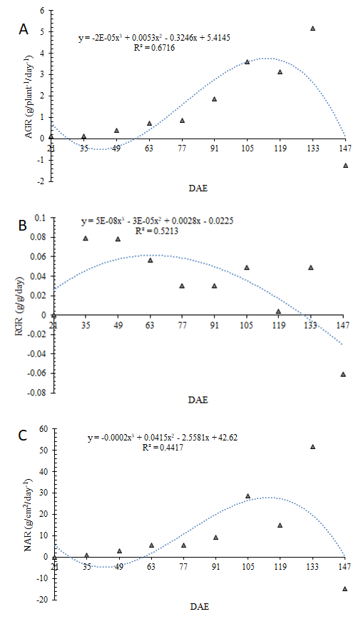 Figure 5: Absolute Growth Rate (AGR) in g plant-1 day-1 (A), Relative Growth Rate (RGR) in g day-1 (B), and Net Assimilation Rate (NAR) in g cm2 day-1 (C) for the broad bean cultivated during the winter-spring in Florianópolis-SC, Brazil, at 21, 35, 49, 63, 77, 91, 105, 119, 133, and 147 days after emergence (DAE).