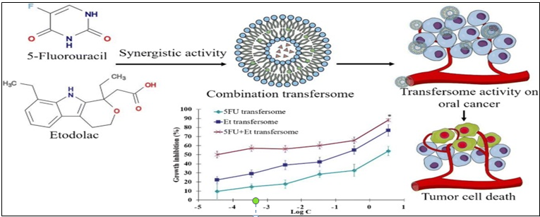 Figure 2: Activity of 5FU (5-fluorouracil) and Etodolac (1:1)-loaded transfersomes [45].