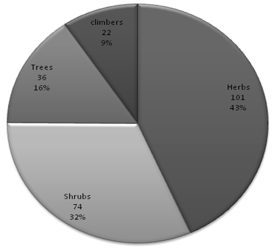 Figure 4: Diversity of habits (growth forms).