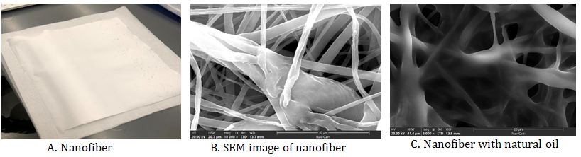 Figure 1: Furthermore, sensors that recognize and alert users to the presence of gases resulting from food spoilage may be incorporated into nanofibers, providing real-time food quality monitoring. Antibacterial nanofiber technology provides a strong barrier against foodborne microbes by incorporating nanoscale fibers with antibacterial qualities into packaging materials. Antimicrobial compounds, either synthetic or natural, may be built into these nanofibers and released in a controlled way onto the food’s surface [8,9]. This inhibits the development of bacteria, fungi, and viruses that cause food spoiling in addition to directly combating infections. Inhibiting the development of microorganisms in the packaging, antimicrobial nanofibers improve food safety, preserve product quality, and significantly extend shelf life.