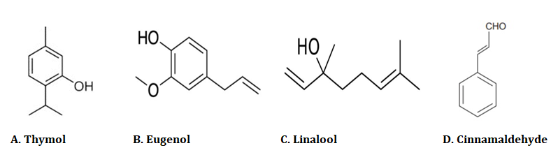 Figure 3: Typical structure of antimicrobial natural extract compound in the nanofiber food pack.