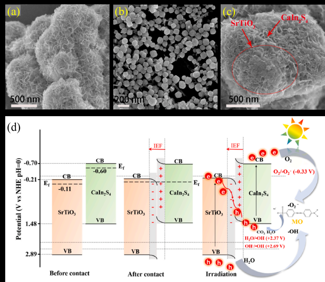 Figure 3: (a-c) SEM images of CaIn2S4, SrTiO3, and SrTiO3/CaIn2S4 respectively, (d) S-scheme charge transfer route in the SrTiO3/CaIn2S4 heterojunction [35].