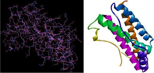 Figure 2: 2D and 3D Structure of Resveratrol (PubChem CID 445154).