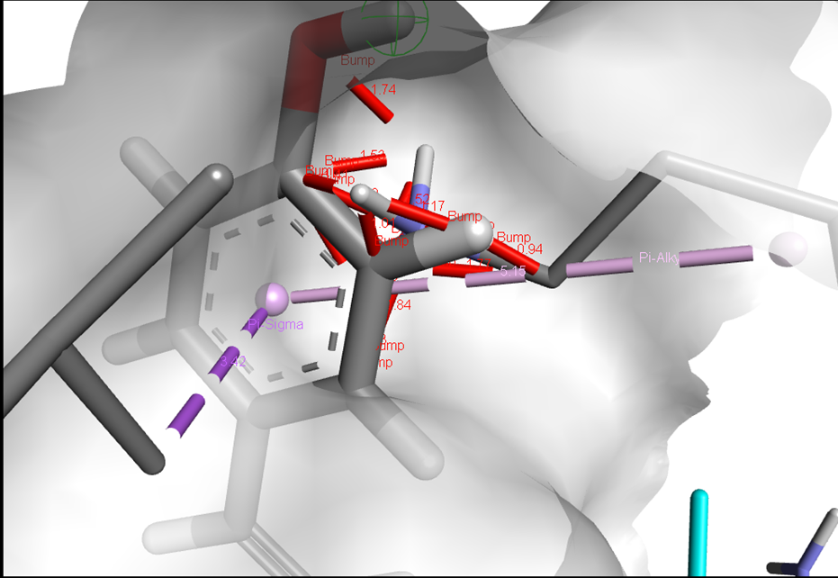 Figure 5: Interaction of the amino acids and their number with resveratrol.