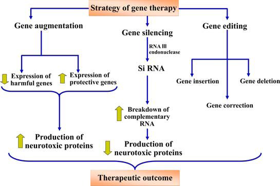 Figure 5: Modes of Gene therapy.
