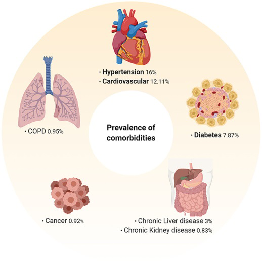 Figure 1: Prevalence of Comorbidities.