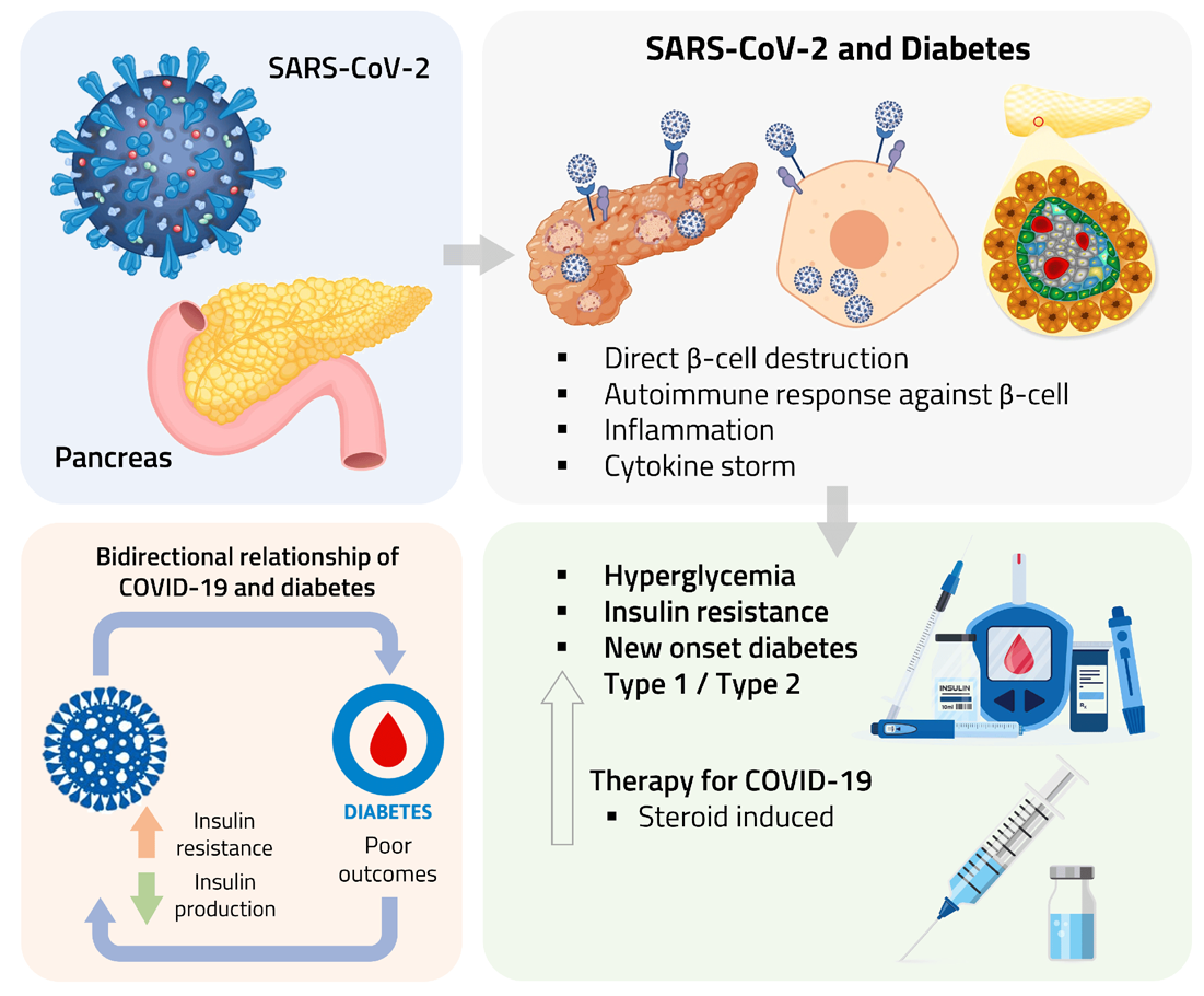 Figure 12: Diabetes Mellitus with Covid19 and its Complications.