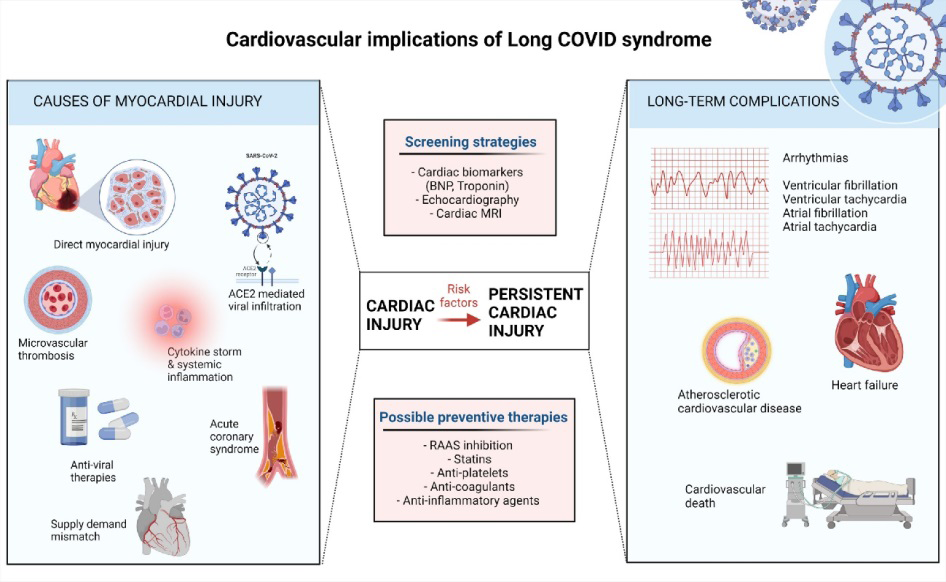 Figure 9: Cardiovascular Implications of Long COVID Syndrome.