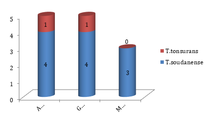 Figure 2: Scalp ringworm caused by T. soudanense was more frequent in the different localities.
