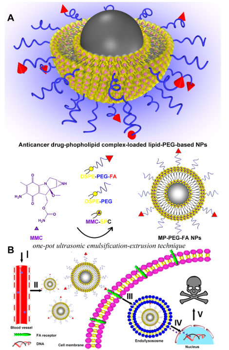 Figure 2: Gawali, et al. [40] developed water-dispersible Fe3O4 MNPs functionalized with glutaric acid (Glu-MNPs) using a high- temperature thermal decomposition method. To enhance colloidal stability and heating efficacy, Glu-MNPs were conjugated with BSA protein through covalent bridging, resulting in protein-conjugated Glu-MNPs (Pro-Glu-MNPs). Pro-Glu-MNPs exhibited superparamagnetic behavior, biocompatibility with normal cells, and higher heating efficacy compared to Glu-MNPs under an AC magnetic field. The study highlights the potential of Pro-Glu-MNPs for hyperthermia therapy, as they are dispersible in cell culture media, phosphate buffer saline, and water, with magnetic heating efficacy dependent on the dispersing medium.