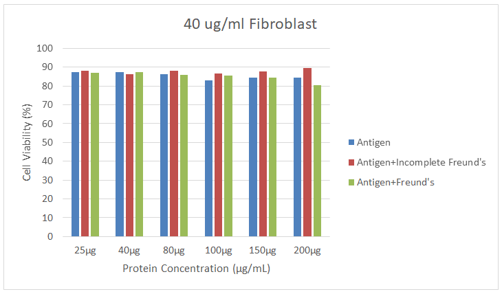 Figure 4: It was determined that the highest efficiency obtained in fibroblast cells due to the combination of lysate with 40 ug/ml CFA at the maximum concentration was 6,705 nmol/ml and the viability rate was 80.47%. In combination with IFA, the maximum efficiency was found to be 6.589 nmol/ml, and 89.41% viability according to MTT analysis results.