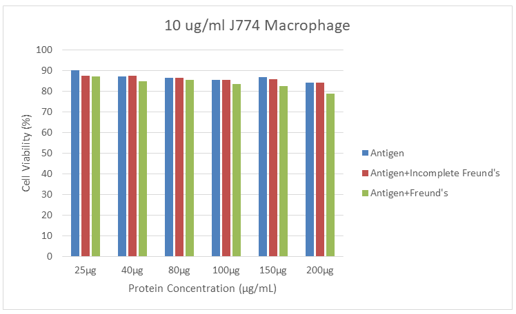 Figure 6: MTT analysis results to combinations of SLA and SLA with CFA and IFA in macrophage cells.