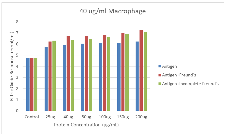 Figure 7: NO responses to combinations of SLA and SLA with CFA and IFA in macrophage cells.