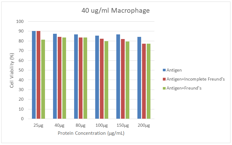 Figure 8: The formulation of the lysate with 40 µg/ ml CFA at a concentration of 200 µg/ml achieved the maximum efficiency of 7.248 nmol/ml in J774 cells. In MTT analysis, 77.32% viability was detected. The highest efficacy value obtained from the treatment of SLAs with IFA in combination with macrophages was 7,093 nmol/ml. In the cytotoxicity analysis, the viability rate was found to be 77.07%.