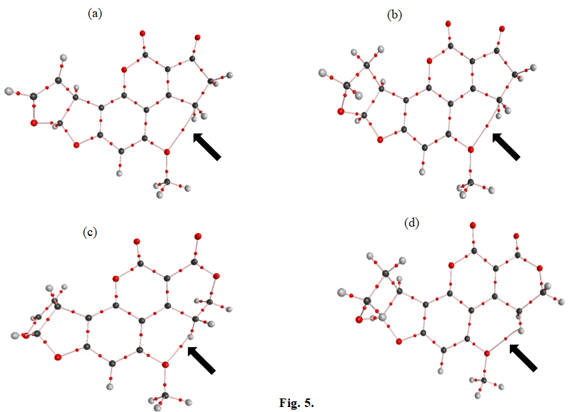 Figure 5: Molecular graphs of (a) Aflatoxin B1, (b) Aflatoxin B2, (c) Aflatoxin G1, and (d) Aflatoxin G2 calculated by B3LYP/6- 311G (d, p) level of theory in the gas phase. (The red point represents the Bond Critical Point, and the pathways are indicated by dashed lines).