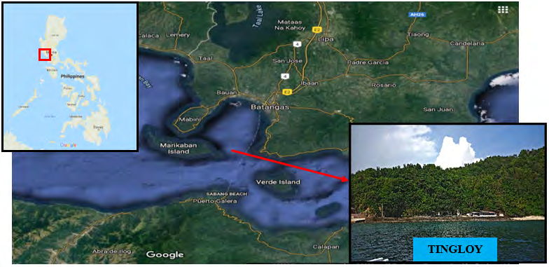 Figure 1: Map of the collection site: the island municipality of Tingloy, Batangas, Philippines.