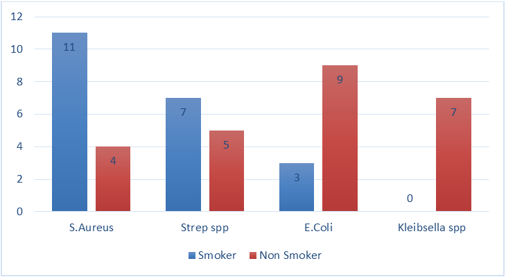 Figure 2: Percentage of Gram Negative Bacteria Isolated from Non Smoker and Smokers.