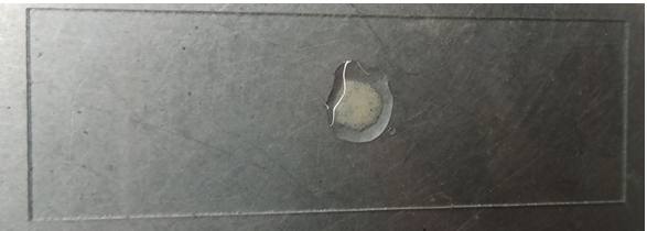 Figure 9: Positive Catalase test result of _S. aureus_.