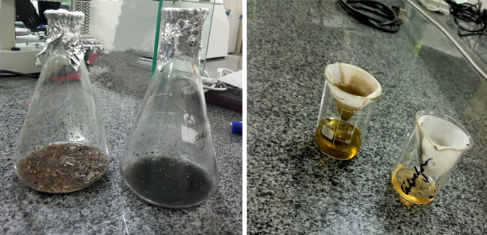 Figure 1: Extraction Process of Plants extracts.