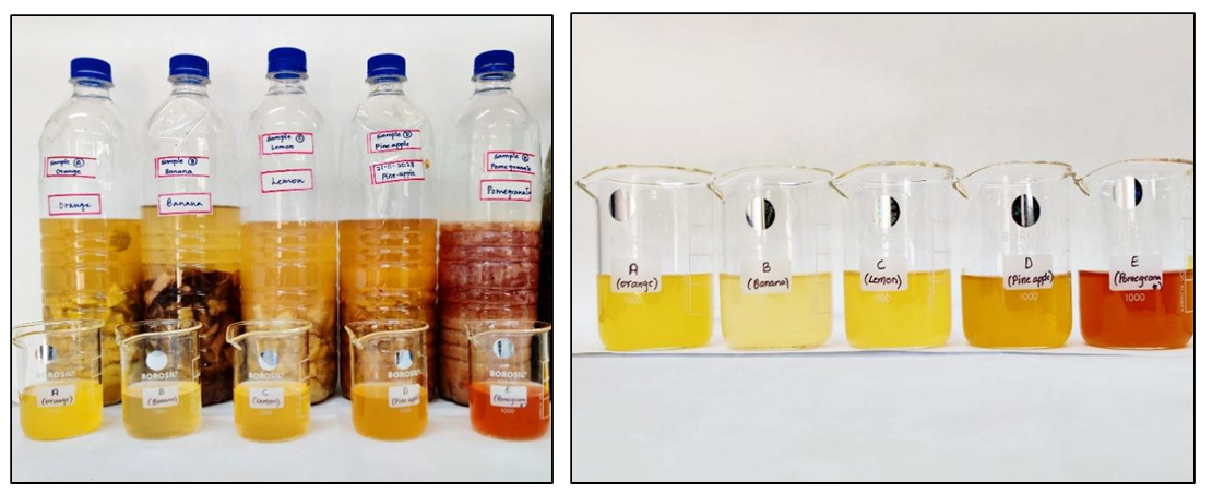Figure 4: Graphical representation of the antibacterial activity of Bioenzymes against different bacteria.