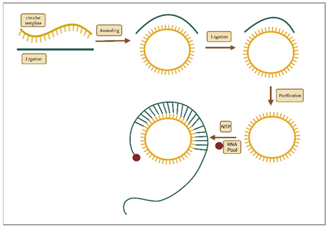 Figure 7: TMA and NABSA.