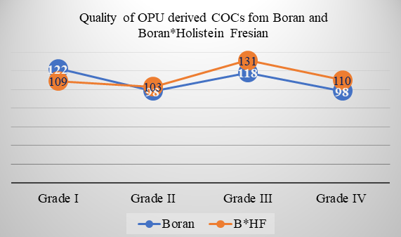 Figure 3: Different quality grade of COCs collected from Boran and Crossbred cows’ donors.