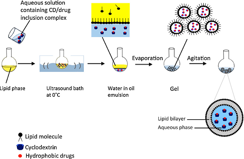 Figure 2: The process typically involves the following steps: • A solution of phospholipids and bile salts is prepared in an organic solvent such as chloroform or methanol. • The solution is then added to a container of water, and the organic solvent is evaporated under reduced pressure to form a thin film of phospholipids and bile salts at the interface between the organic and aqueous phases. • The encapsulated material (such as drugs or genetic material) is then added to the aqueous phase and the mixture is gently agitated to form the Bilosomes. • The Bilosomes are then harvested by centrifugation or ultracentrifugation. • The final product is then characterized for size, encapsulation efficiency, and stability.