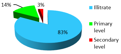 Figure 3: Level of instruction of interviewed market gardeners.