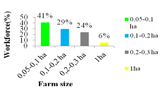 Figure 4: Farm size.