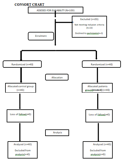 Figure 1: Consort Chart.