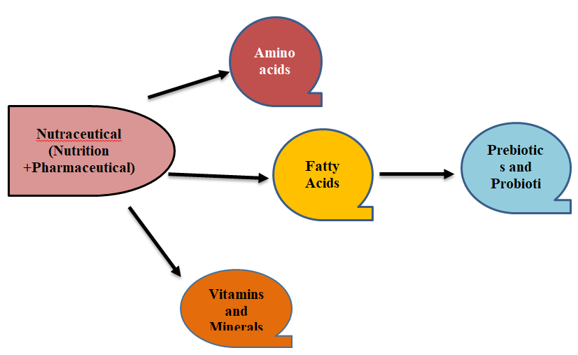 Figure 1: Concepts of nutraceuticals [13].