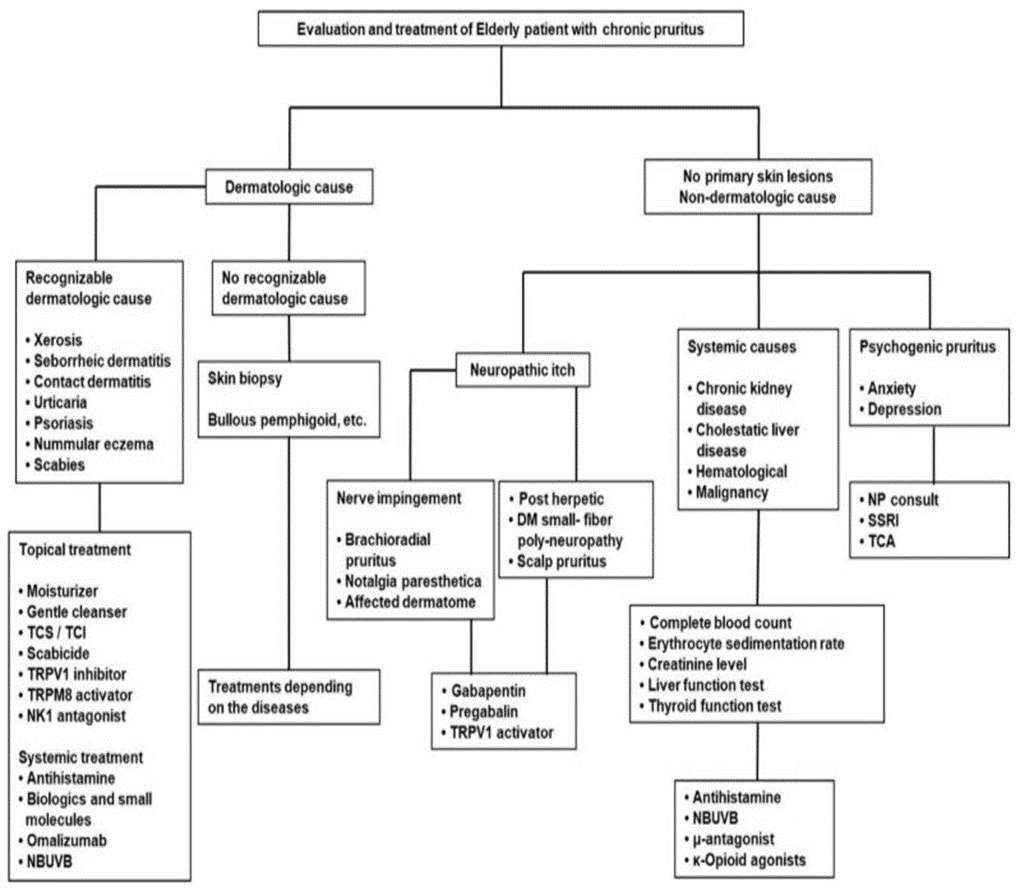 Figure 1: A simple Algorithm of Evaluation and Treatment of Senile Pruritis.