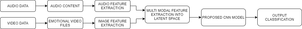 Figure 2: Workflow of the Our Work.