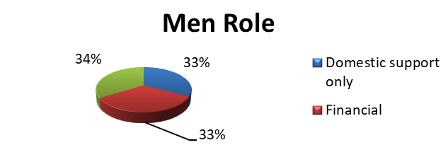 Figure 1: Pie-Chart depicting Financial and Domestic Role in Pregnancy Related Care.