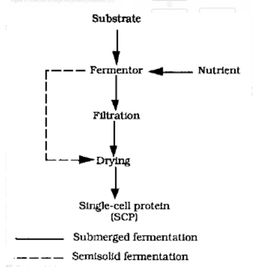 Figure 1: Single Cell Protein Production.