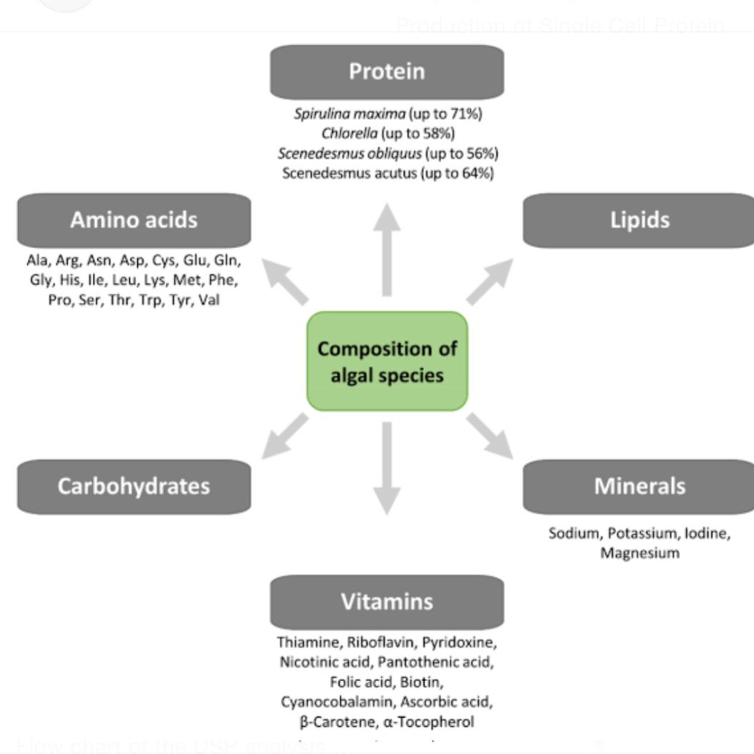 Figure 5: Nutritional Composition of algal species.