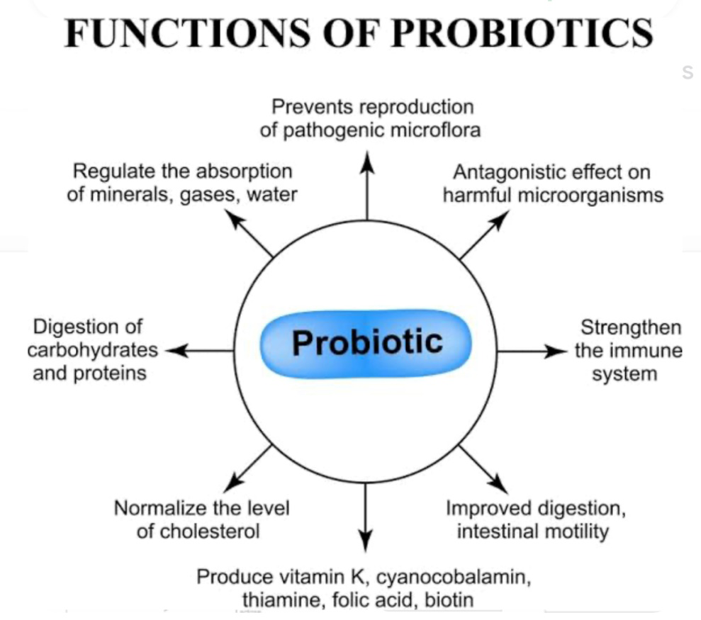 Figure 8: Functions of probiotics.