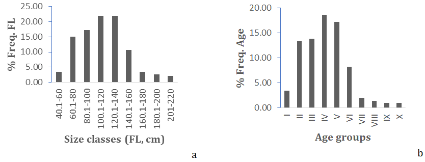 Figure 5: a. Fork length frequency distribution (FL); b. Age composition for _Thunnus thynnus_ in Syrian seawater.