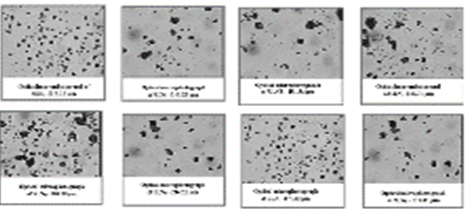 Figure 3: Particle Count by Optical Microscopy.