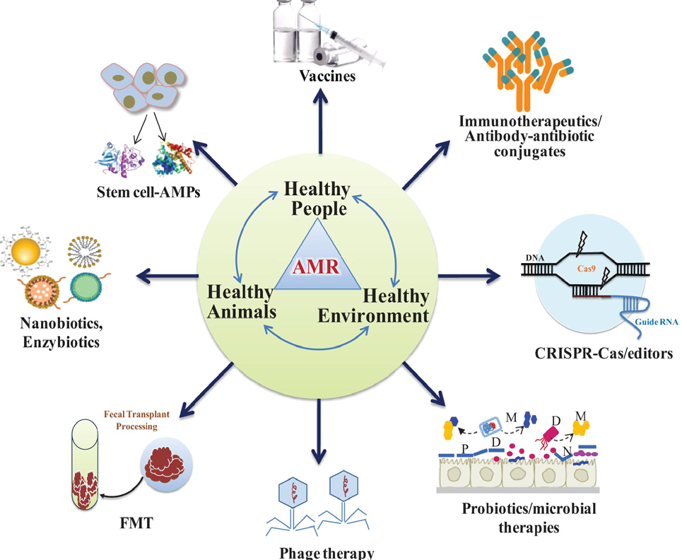 Figure 4: Alternative non-antibiotic strategies to prevent antimicrobial-resistant infections in animals and humans.