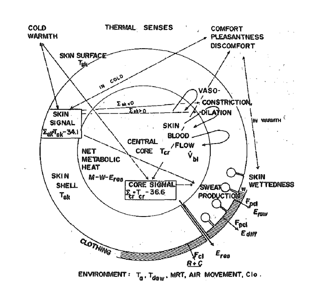 Figure 4: Gagge's two-nodes model [38].