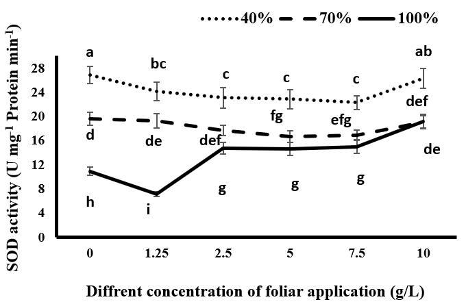 Figure 2: Comparison of mean amounts of superoxide dismutase (SOD) activity in black cumin under different levels of irrigation and different concentrations of spraying of tragacanth gum.