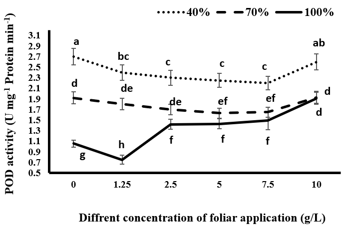 Figure 3: Comparison of mean amounts of peroxidase (POD) activity in black cumin under different levels of irrigation and different concentrations of spraying of tragacanth gum.