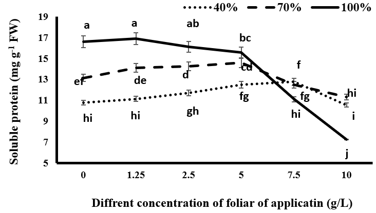 Figure 6: Comparison of mean amounts of proline in black cumin under different levels of irrigation and different concentrations of spraying of tragacanth gum.