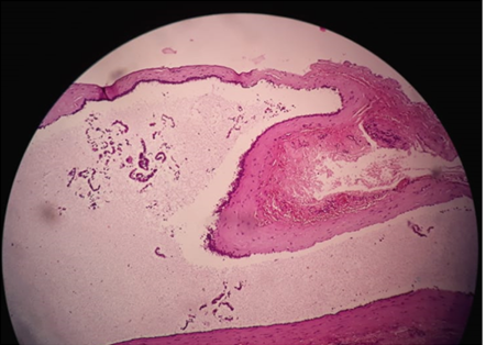 Figure 4: High magnification view.